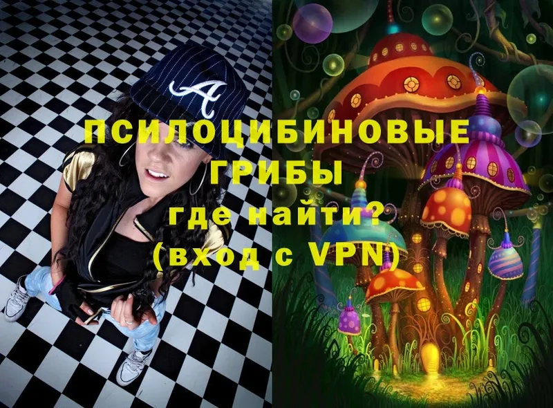 Галлюциногенные грибы Cubensis  Ливны 